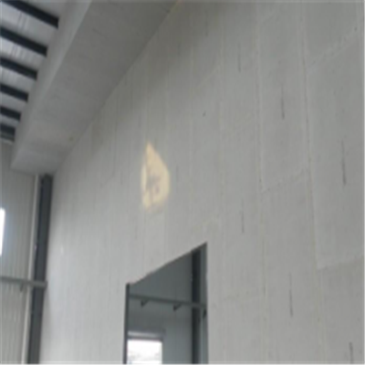 宕昌宁波ALC板|EPS加气板隔墙与混凝土整浇联接的实验研讨